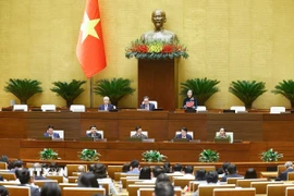 Quốc hội làm việc tại nghị trường. (Ảnh: Doãn Tấn/TTXVN)