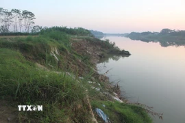 Tại thôn Yên Lạc, xã Vĩnh Lộc, dọc bờ sông Mã đoạn chảy qua địa bàn đang có nguy cơ sạt lở đất đất nông nghiệp của người dân và uy hiếp tính mạng của gần 20 hộ dân quanh vùng. (Ảnh: Khiếu Tư/TTXVN)