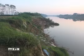 Tại thôn Yên Lạc, xã Vĩnh Lộc, dọc bờ sông Mã đoạn chảy qua địa bàn đang có nguy cơ sạt lở đất đất nông nghiệp của người dân và uy hiếp tính mạng của gần 20 hộ dân quanh vùng. (Ảnh: Khiếu Tư/TTXVN)