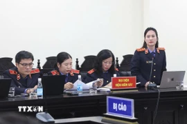 Đại diện Viện Kiểm sát khẳng định "Hàm lượng trong sữa giả vượt quá mức công bố không đồng nghĩa với tốt hơn”. (Ảnh: Kim Anh/TTXVN)