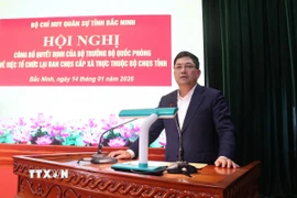 Bí thư Tỉnh ủy Bắc Ninh Nguyễn Hồng Thái phát biểu tại Hội nghị. (Ảnh: Thái Hùng/TTXVN)