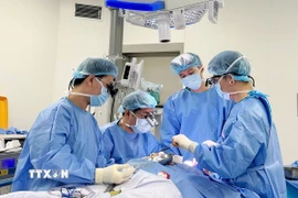 (Ảnh minh họa: TTXVN phát)