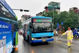 Nhiều xe buýt đi sai luồng tuyến tại khu vực phía Bắc Cầu Chương Dương bị lực lượng chức năng phát hiện và xử lý sáng 18/11/2025. (Ảnh: TTXVN phát)