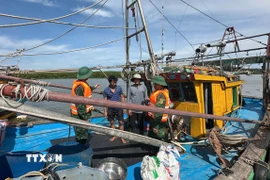 Đến 14 giờ ngày 23/8, các đơn vị của Ban Chỉ huy Bộ đội biên phòng Nghệ An đã thông báo cho 408 phương tiện biết vị trí, hướng di chuyển của bão. (Ảnh: TTXVN phát)