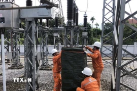 Nhân viên điện lực kiểm tra, gia cố hệ thống điện bảo đảm các biện pháp phòng chống bão cho hệ thống điện. (Ảnh: TTXVN phát)