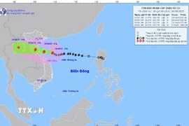 Thông tin về cơn bão số 5 lúc 21 giờ ngày 24/08. (Ảnh: TTXVN)