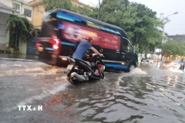 Ảnh minh họa. (Ảnh: Sơn Hải/TTXVN) 