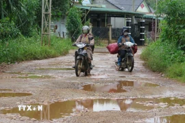 "Ổ gà", "ổ voi" chằng chịt, dày đặc trên mặt đường bị mất lớp nhựa của tuyến đường DH85, gây khó khăn cho các phương tiện giao thông. (Ảnh: Dư Toán/TTXVN)