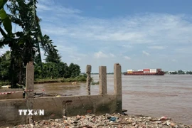 Khu vực sạt lở bờ sông Tiền tại ấp Tân Quới, xã Tân Long, tỉnh Đồng Tháp. 9Ảnh: Công Trí/TTXVN)