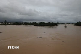 Nhiều vùng tại Đà Nẵng chìm trong biển nước. (Ảnh: Anh Dũng/TTXVN)