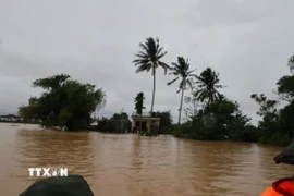 Nước ngập ngang nhà dân tại Đà Nẵng. (Ảnh: Anh Dũng/TTXVN)