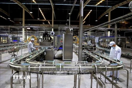 Dây chuyền sản xuất sữa tươi Vinamilk từ trang trại xanh, thân thiện với môi trường. (Ảnh: Hồng Đạt/TTXVN)