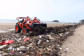 Công ty Cổ phần Dịch vụ môi trường và Công trình đô thị Vũng Tàu (Vesco) thu gom rác thải đại dương. (Ảnh: Đoàn Mạnh Dương/TTXVN)