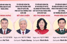 Thông tin chi tiết về 19 đồng chí Ủy viên Bộ Chính trị khóa XIV