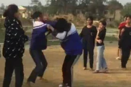 (Ảnh minh họa: TTXVN phát)