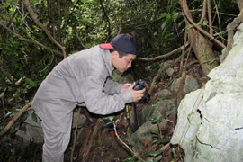 Giáo sư, Tiến sỹ Nguyễn Quảng Trường trong chuyến nghiên cứu về đặc điểm sinh thái của loài Thạch sùng mí cát bà tại Vườn Quốc Gia Cát Bà 2014.
