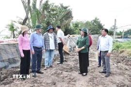 Bà Hồ Thị Hoàng Yến, Phó Bí thư Thường trực Tỉnh ủy Vĩnh Long khảo sát khu vực sạt lở bờ biển thuộc ấp Giồng Bàn, xã Long Vĩnh. (Ảnh: Thanh Hòa/TTXVN)