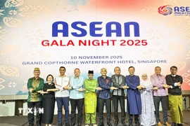 Đại sứ các nước ASEAN thể hiện tinh thần đoàn kết tại ASEAN Gala Night 2025. (Ảnh: Ngọc Khương/TTXVN)
