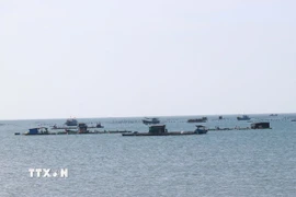 Nghề nuôi biển đang được đầu tư phát triển tại vùng biển xã Vĩnh Hải, tỉnh Khánh Hòa. (Ảnh: Công Thử/TTXVN)