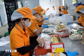 Kinh tế tư nhân là lực lượng tiên phong để thúc đẩy tăng trưởng, tạo việc làm, nâng cao năng suất. (Ảnh: Nguyễn Dũng/TTXVN)