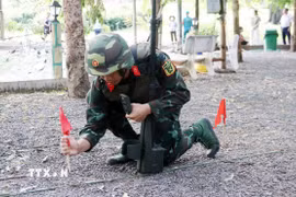 Lực lượng công binh triển khai công tác dò tìm, làm sạch thiết bị, vật liệu nổ tại khu vực khảo sát, thăm dò hài cốt liệt sỹ. (Ảnh: Xuân Khu/TTXVN)