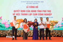 Các cụm công nghiệp nhận quyết định thành lập. (Ảnh: Thu Hương/TTXVN)