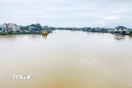 (Ảnh minh họa: Hoa Mai/TTXVN)