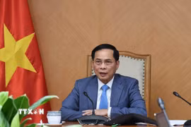 Phó Thủ tướng Bùi Thanh Sơn. (Ảnh: TTXVN phát)