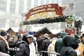 Người dân xếp hàng vào hội chợ Giáng sinh ở Chicago. (Ảnh: Ngọc Quang/TTXVN)