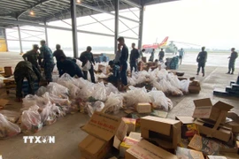 Sư đoàn Không quân 372 chuẩn bị hàng từ sân bay Đà Nẵng và sân bay Phù Cát để thực hiện nhiệm vụ bay cứu trợ. (Ảnh: TTXVN phát)