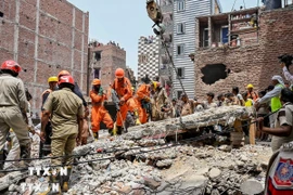 Ảnh minh họa. (Ảnh: ANI/TTXVN)