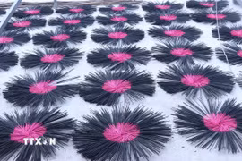 Hương đen Văn Quan, xã Diên Hà, tỉnh Hưng Yên có mùi thơm tự nhiên là sự kết hợp giữa nhựa trám và than. (Ảnh: Đinh Văn Nhiều/TTXVN)