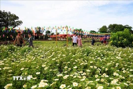 Du khách dạo chơi trong cánh đồng hoa tại khu du lịch sinh thái Đảo Ó-Đồng Trường. (Ảnh: Hồng Đạt/TTXVN)