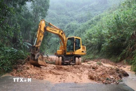 Ảnh minh họa. (Ảnh: Phạm Cường/TTXVN)