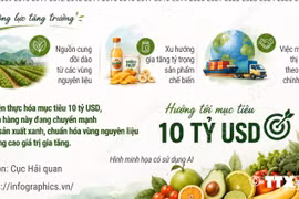 5 tháng năm 2026, xuất khẩu rau quả tăng 20,4% 