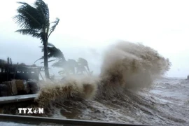 Ảnh minh họa. (Nguồn: TTXVN)