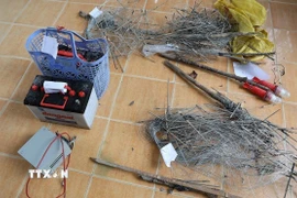 Tang vật vụ án. (Ảnh: TTXVN phát)