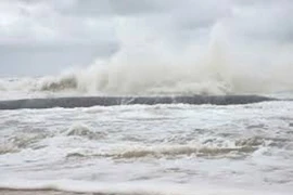 (Ảnh minh họa. TTXVN phát)