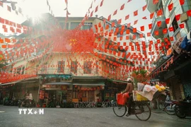 Cờ hoa rực rỡ khắp phố phường Hà Nội chuẩn bị Đại hội đại biểu Đảng bộ Thành phố. (Ảnh: Khánh Hòa/TTXVN)