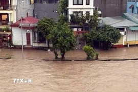 Quốc lộ 18 đoạn qua phường Đông Mai và Vàng Danh (tỉnh Quảng Ninh) bị ngập cục bộ. (Ảnh: TTXVN phát)