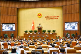 Quang cảnh phiên họp. (Ảnh: Doãn Tấn/TTXVN)