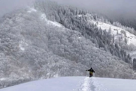 Một du khách leo núi Ryozen, Nhật Bản ngày 31/1. (Ảnh: Yamap)