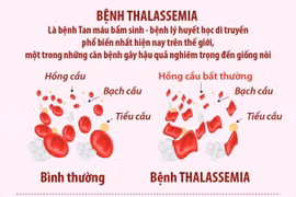 Ngày Thalassemia Thế giới 8/5: Những điều cần biết về bệnh Thalassemia