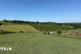 Pháp: Nạn trộm khuấy đảo các vùng nông thôn yên bình 