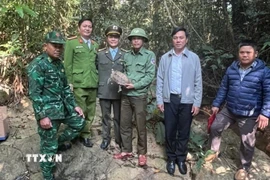 Các lực lượng chức năng thả cá thể rùa núi viền về môi trường tự nhiên. (Ảnh: TTXVN phát)