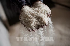 Gạo được bán tại Bangkok, Thái Lan. (Ảnh: AFP/TTXVN)