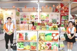 Một gian hàng của Việt Nam tại hội chợ. (Ảnh: Xuân Vịnh/TTXVN )