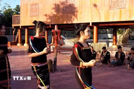 Người Ê Đê (tỉnh Đắk Lắk) biểu diễn các điệu múa của dân tộc mình. (Ảnh: Tường Quân/TTXVN)