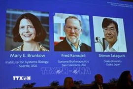 Chân dung các nhà khoa học đoạt giải Nobel Y sinh năm 2025 (từ trái sang): Mary E Brunkow, Fred Ramsdell và Shimon Sakaguchi. (Ảnh: REUTERS/TTXVN)