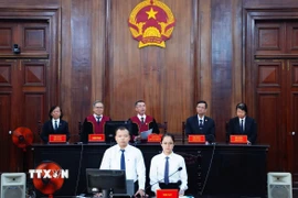 Quang cảnh phiên tòa. (Ảnh: Linh Sơn/TTXVN)